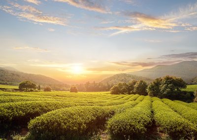 PSR LOMBARDIA – 2014-2020 Operazione 4.2.01 TRASFORMAZIONE COMMERCIALIZZAZIONE E SVILUPPO DEI PRODOTTI AGRICOLI