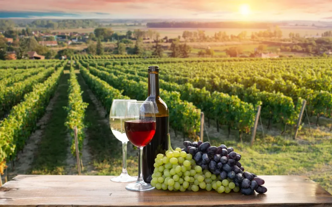 REGIONE LOMBARDIA – Intervento settore vitivinicolo – Campagna 2025/2026