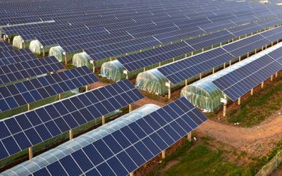 MASAF – Bando Facility Parco Agrisolare – Missione 2, componente 1, investimento 2. 4 PNRR