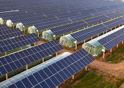 MASAF – Bando Facility Parco Agrisolare – Missione 2, componente 1, investimento 2. 4 PNRR